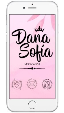 WEB MINI PORTADA XV ROSA 01
