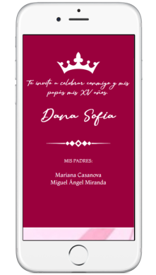 WEB MINI PORTADA XV ROSA 02