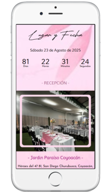 WEB MINI PORTADA XV ROSA 03