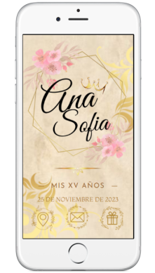 WEB MINI PORTADA XV SOL 01